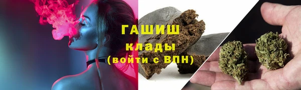 сатива Алзамай