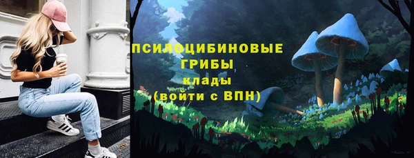 экстази Алексин